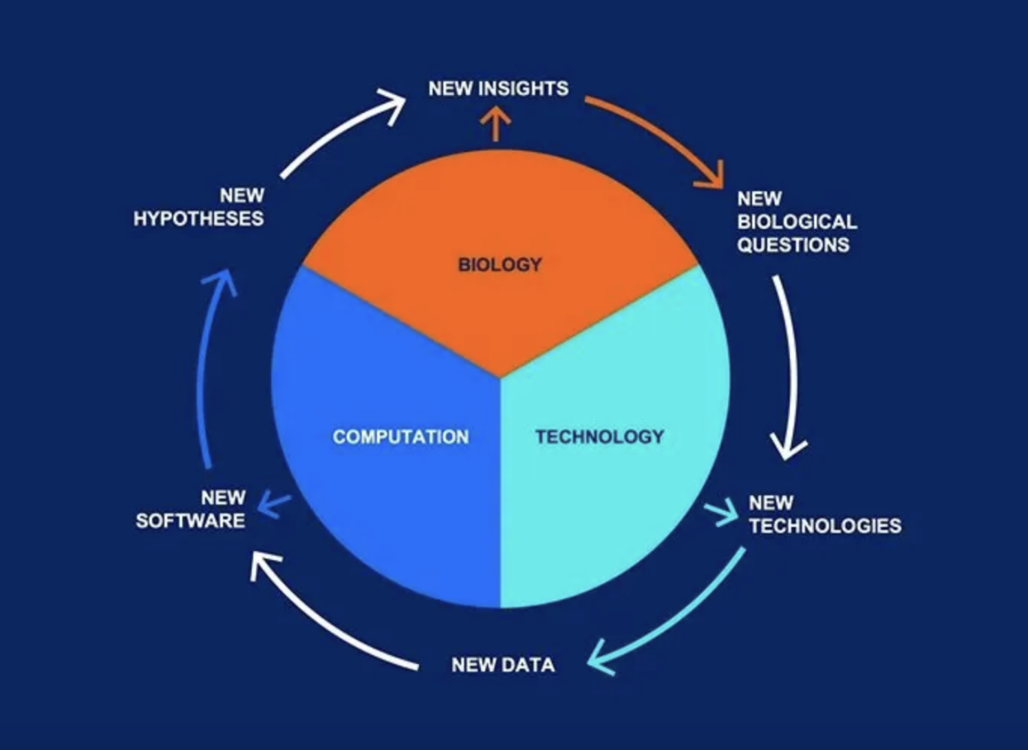Biological modeling software​ 